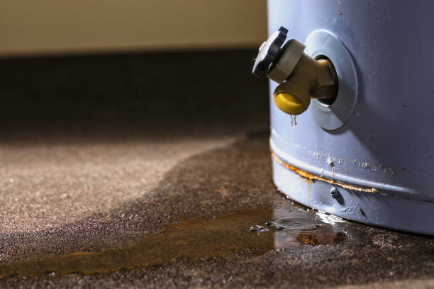 Best Flood restoration services  in Halfway House, PA