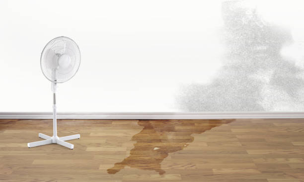 Best Sewage cleanup and water damage restoration  in Halfway House, PA