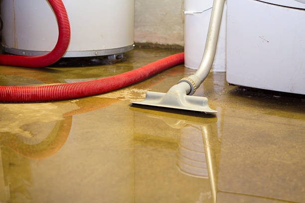 Best Water damage cleanup near me  in Halfway House, PA