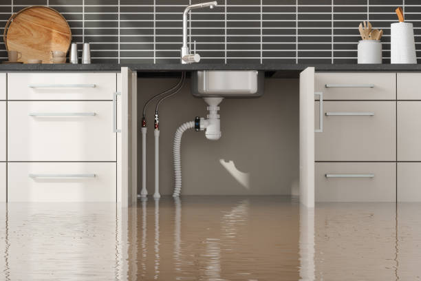 Best Mold removal after water damage  in Halfway House, PA